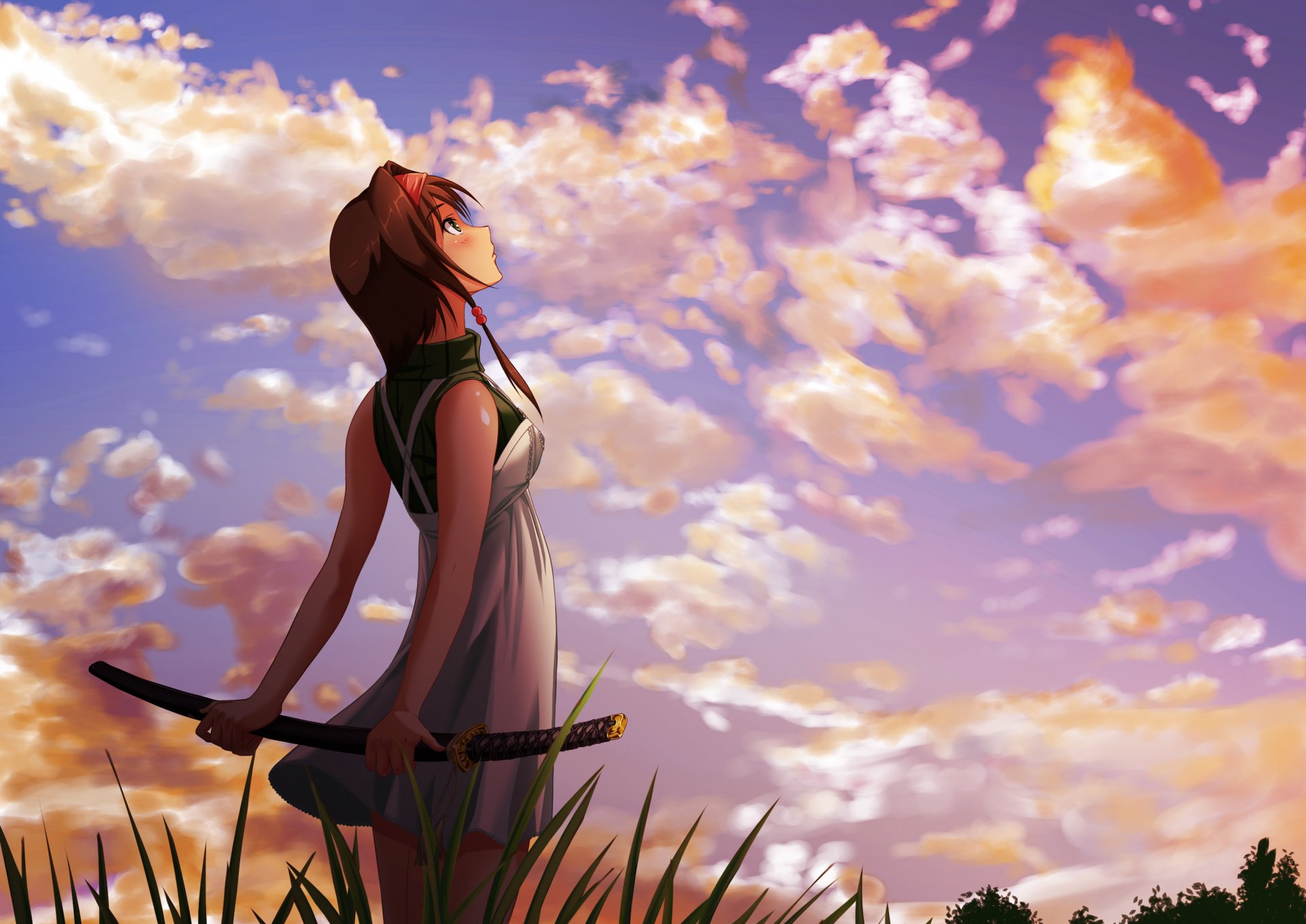 arte ragazza paesaggio katana spada cielo nuvole erba