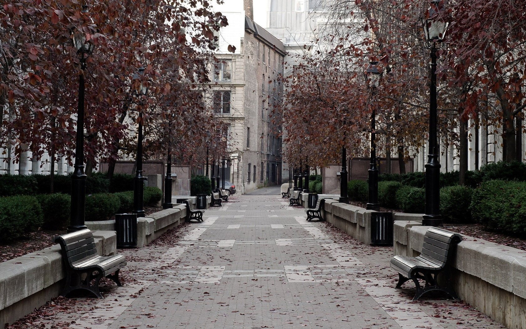 via strada negozi città parco