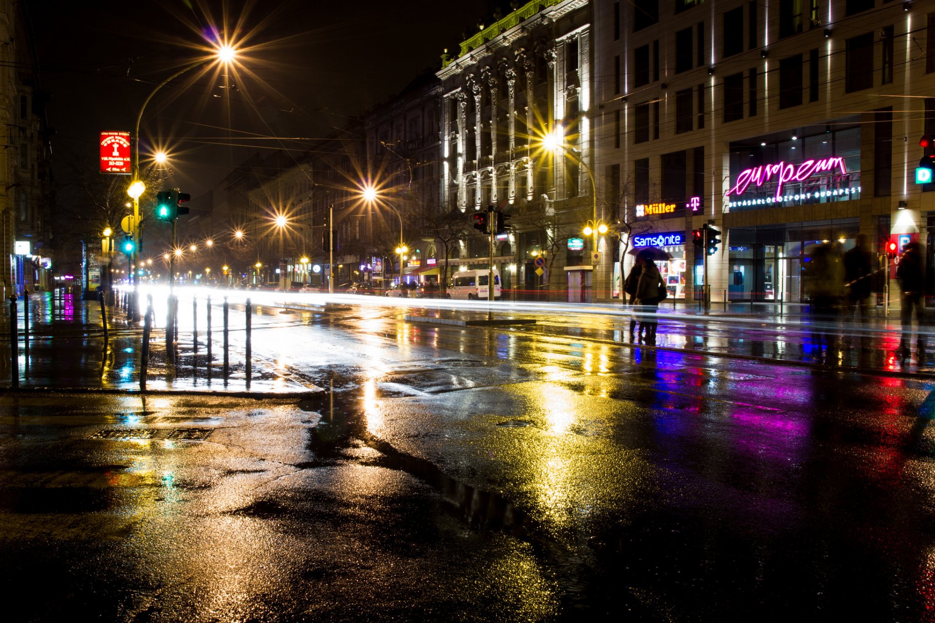 budapest controllo dei parassiti magyaror ungheria città notte edifici negozi segnaletica strada esposizione luci asfalto pozzanghere lanterne illuminazione persone