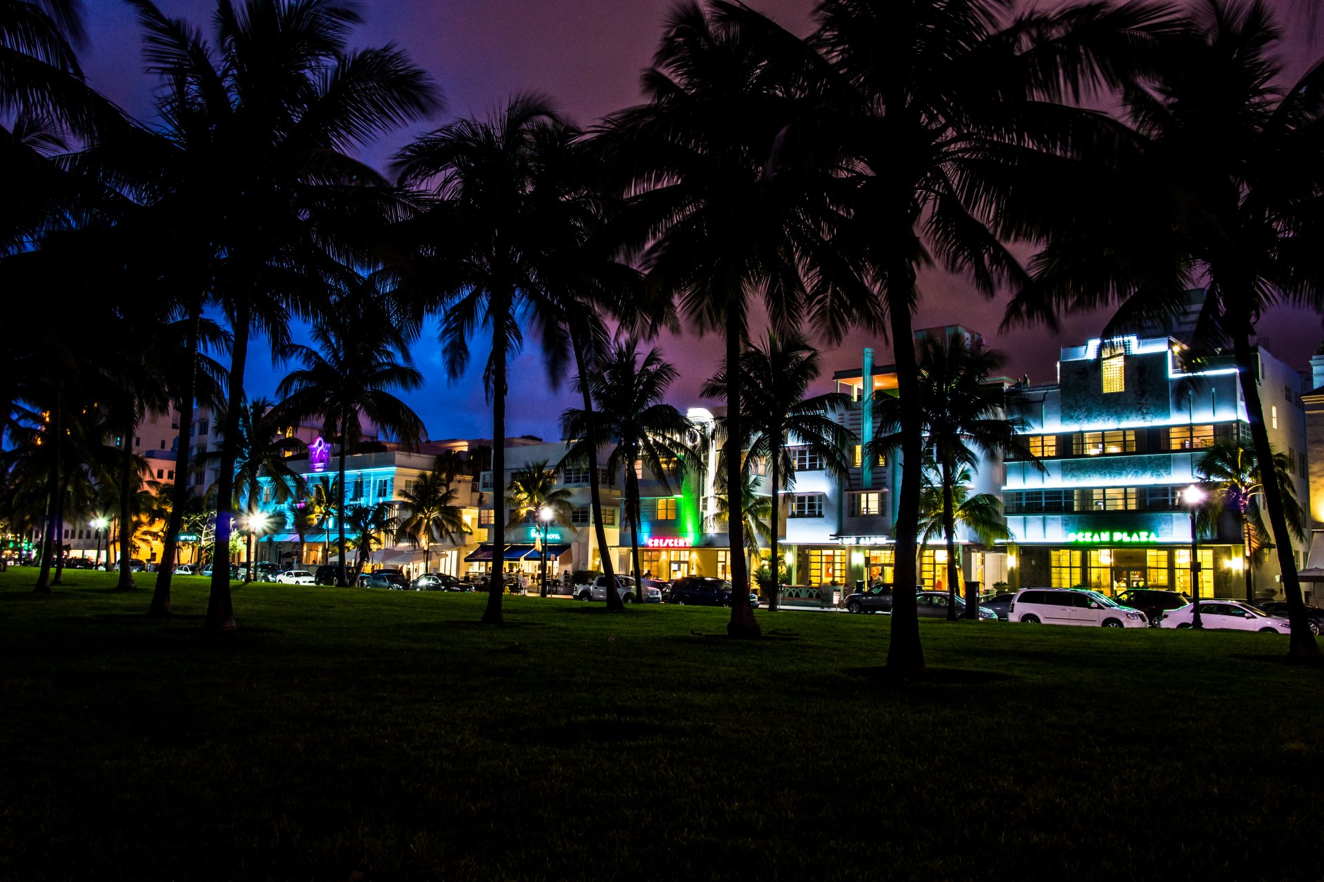 miami florida south beach notte palme automobili case alberghi vice città