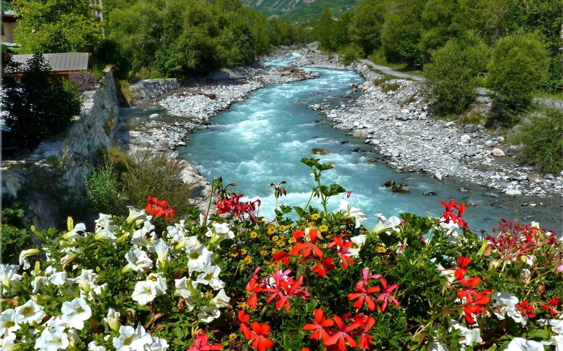 fiume fiori letto canale