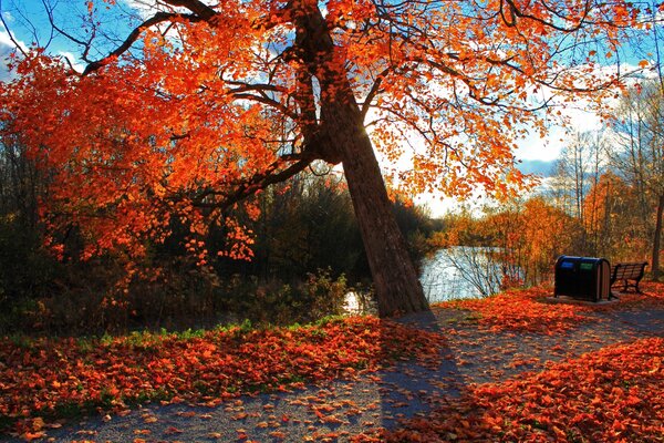 Negozio sullo sfondo del paesaggio autunnale