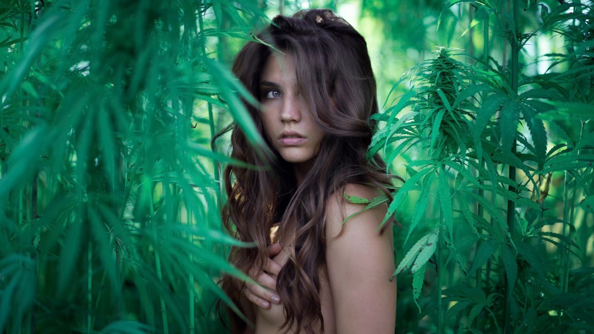 tartine nudo ragazza verde vista nudo