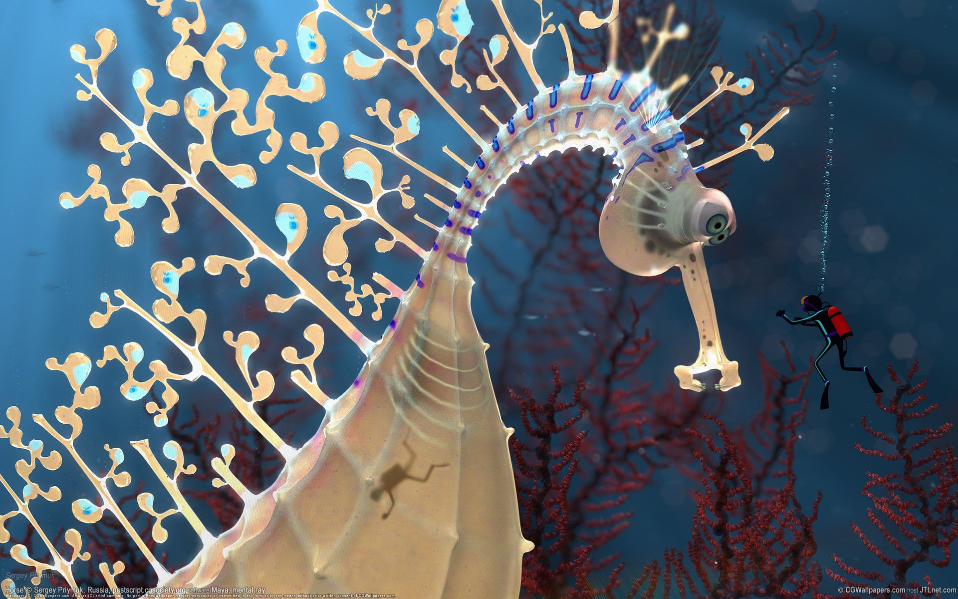 gigante cavalluccio marino subacqueo