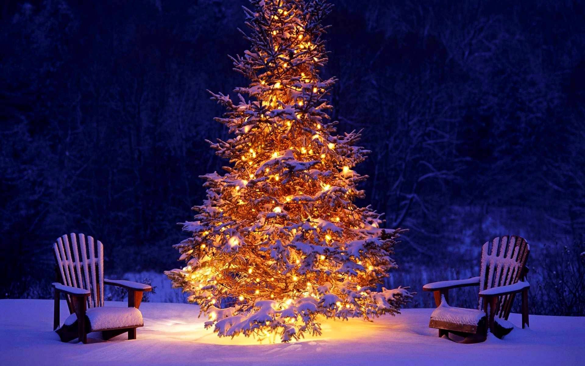 inverno vacanze neve foresta albero di natale lanterne felice anno nuovo natale inverno albero di natale luci nuovo anno vacanza