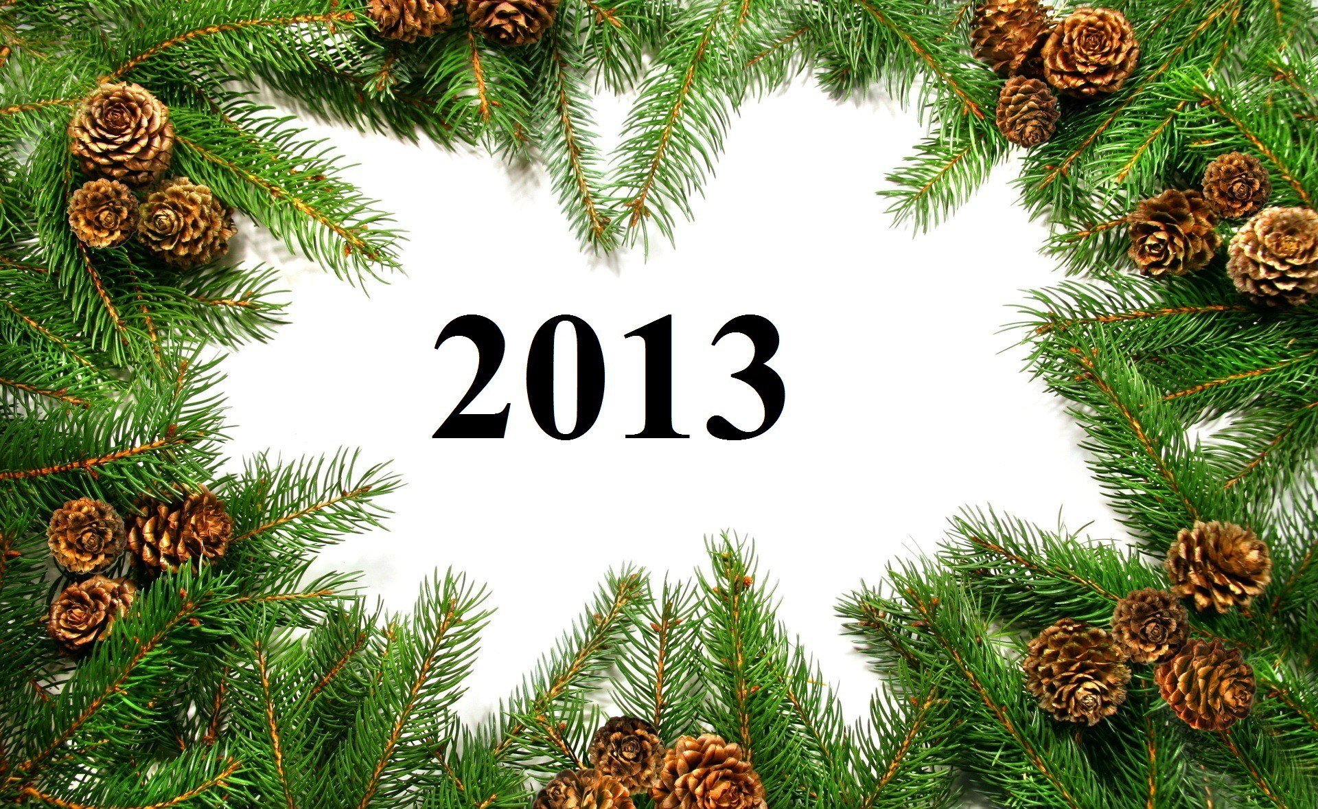 felice anno nuovo nuovo 2013 anno rami coni