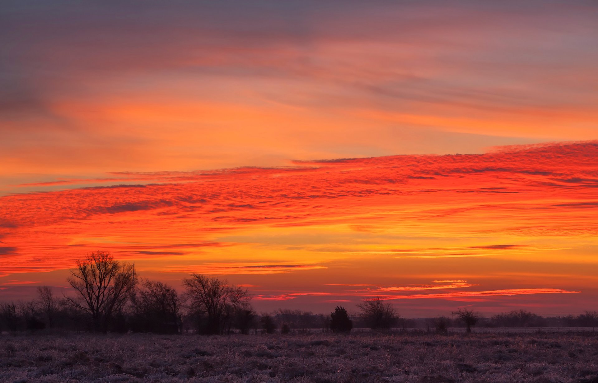 cielo nuvole tramonto campo alberi