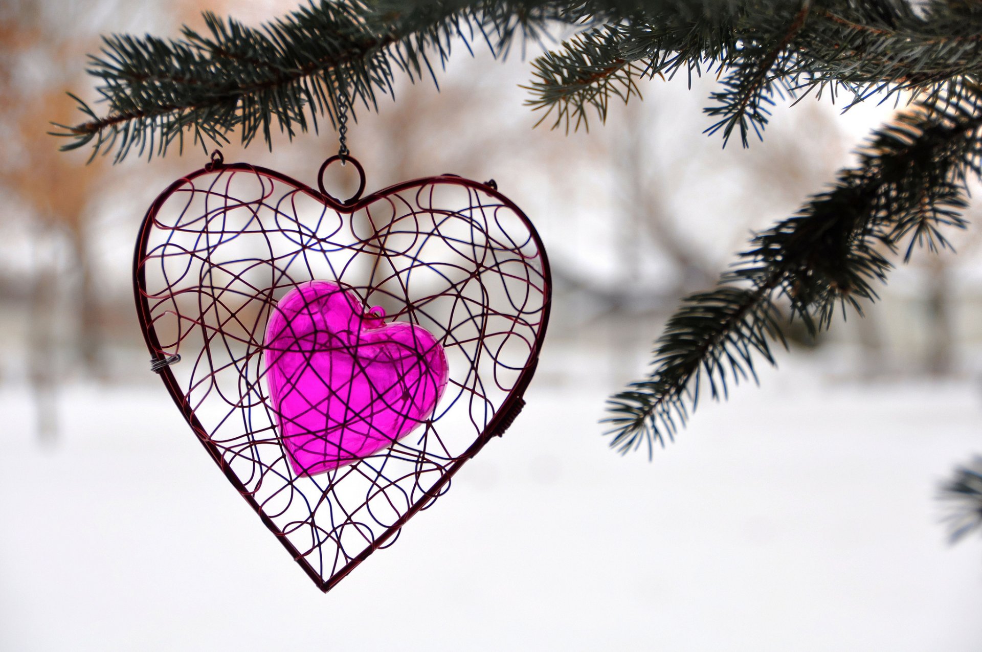 amanti san valentino santo cuore cuore inverno albero abete decorazione