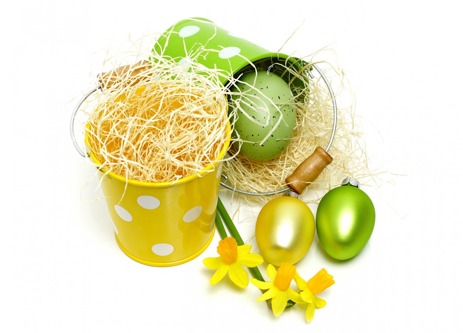 pasqua uova narcisi fiori tinti