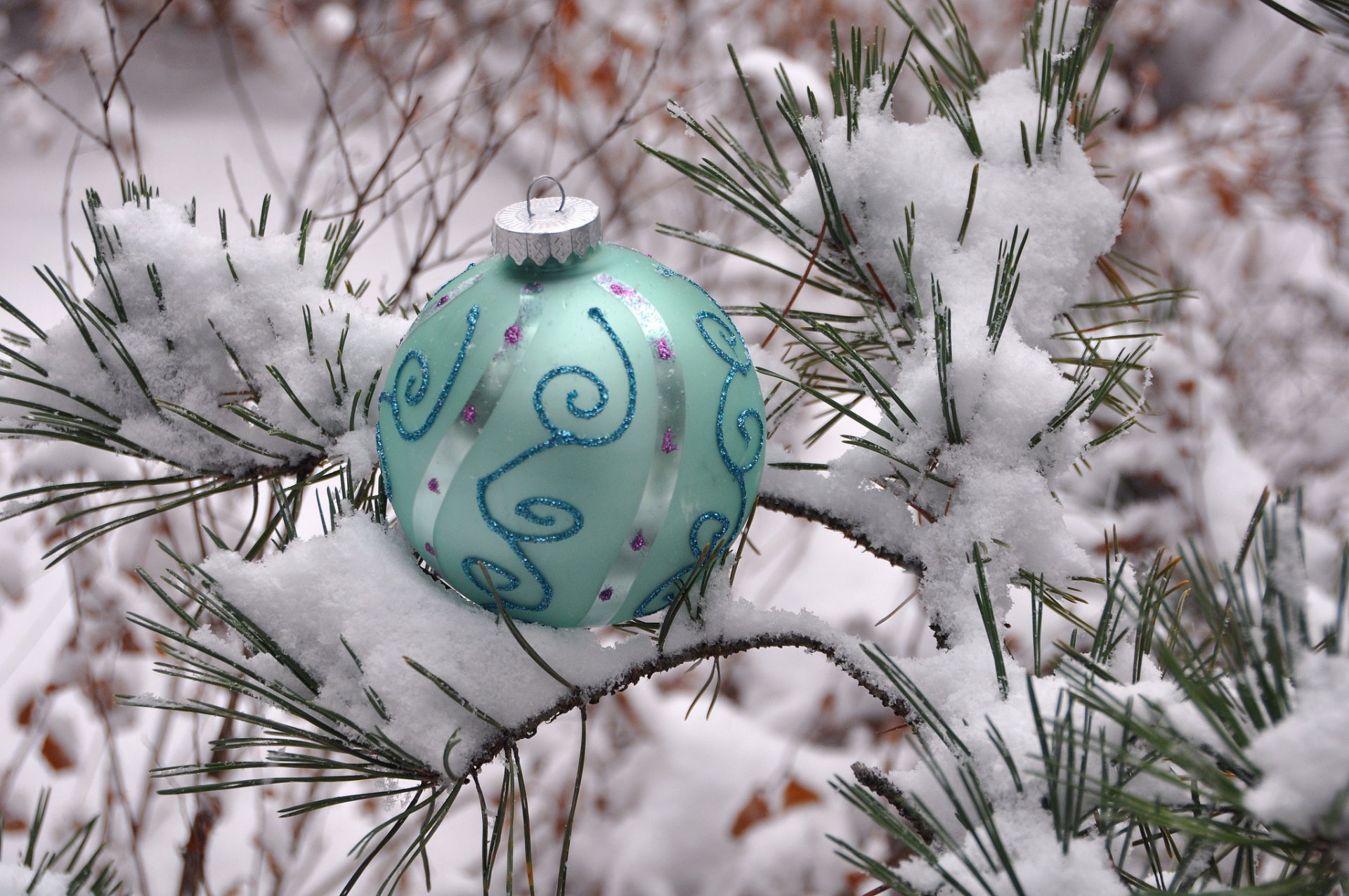 inverno neve pino aghi palla decorazione nuovo anno natale