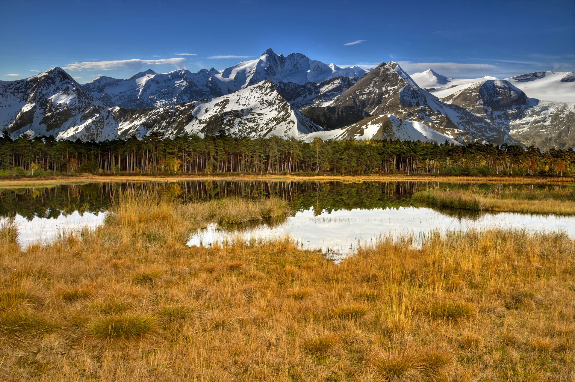 montagne neve foresta alberi lago acqua erba cielo