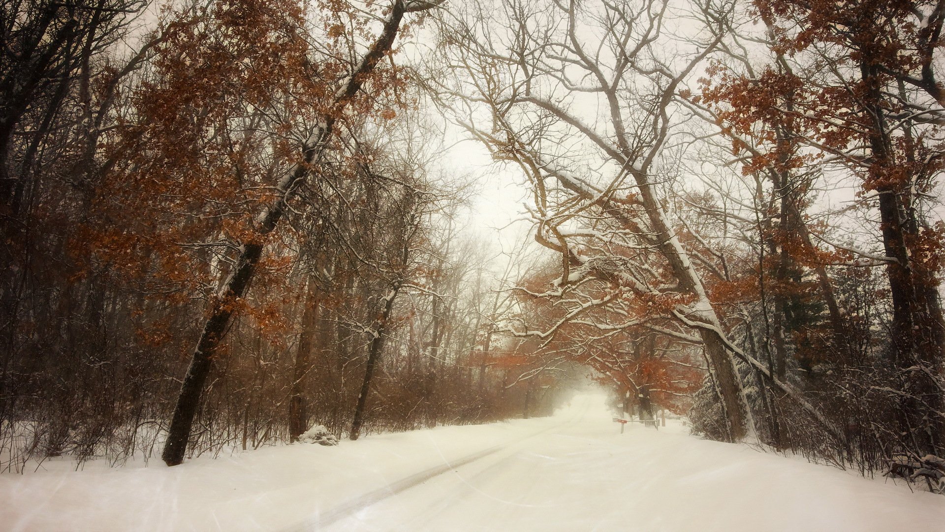 inverno strada neve paesaggio