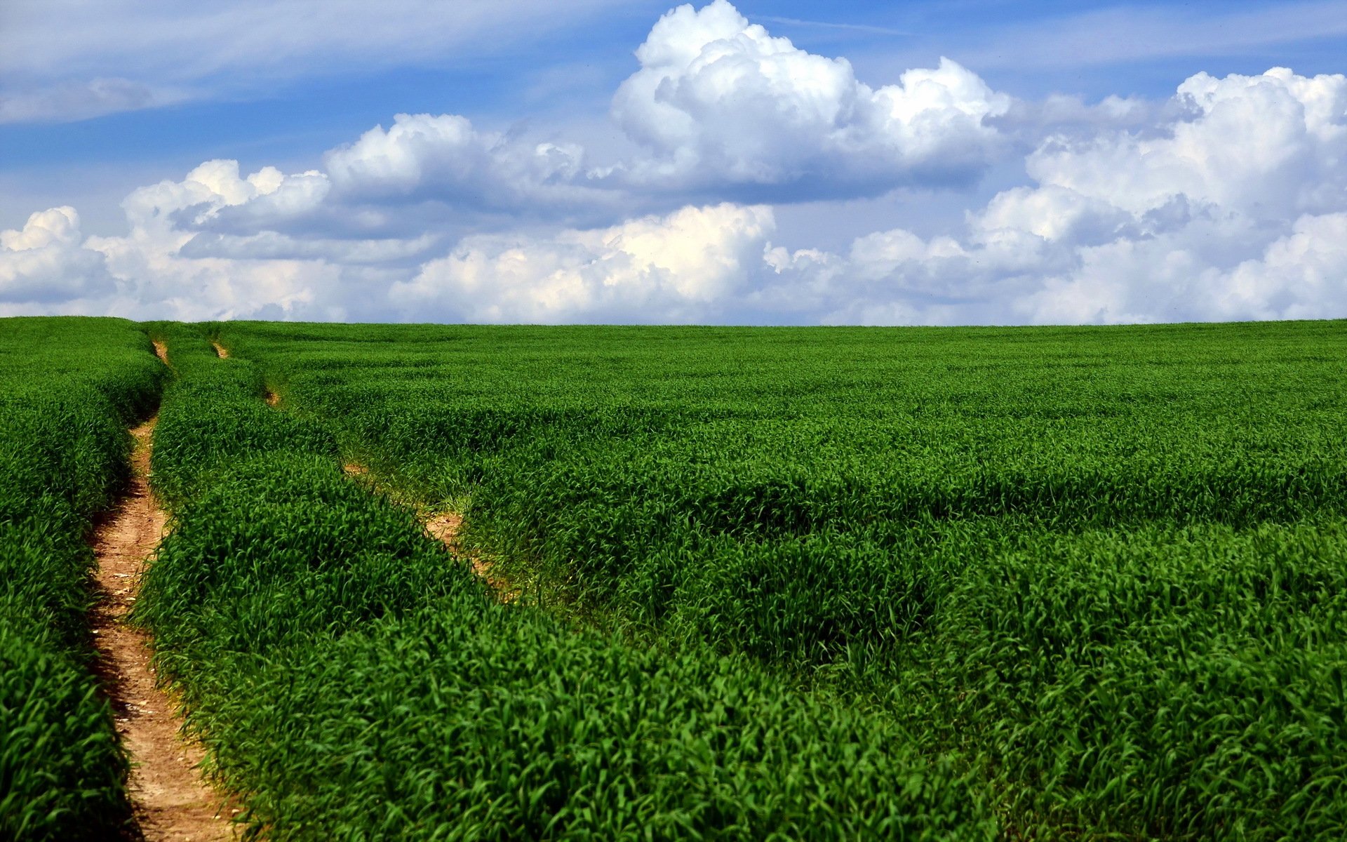 campo strada paesaggio