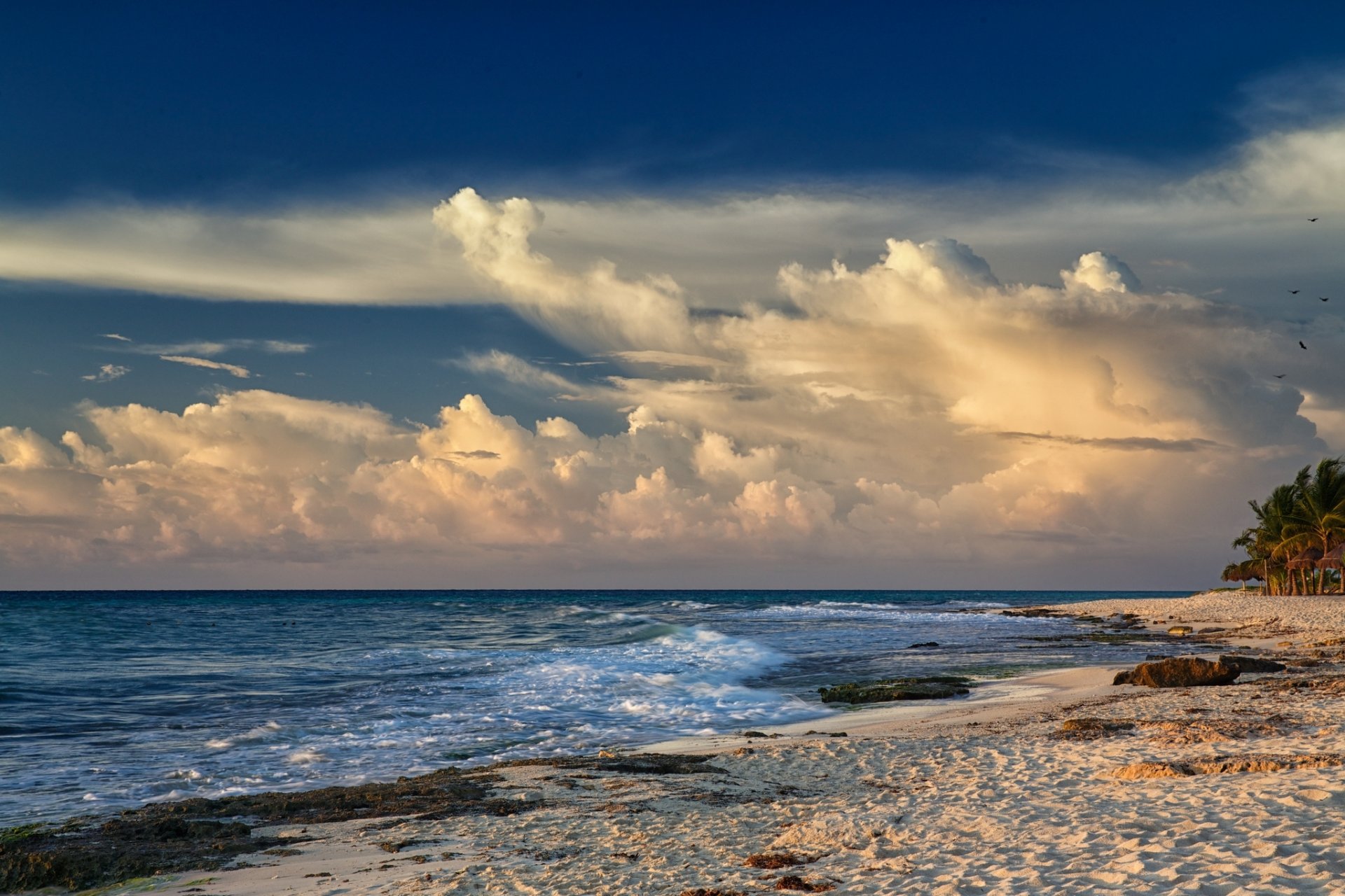 mare spiaggia sabbia palme vento onde nuvole