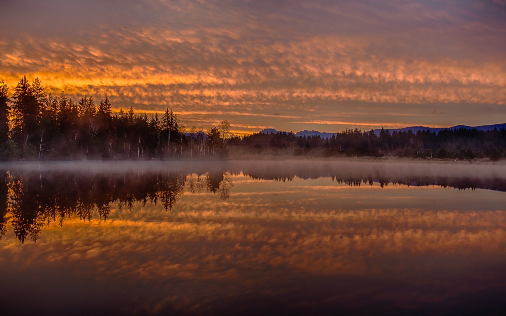 lago kirchsee baviera germania alba mattina nebbia riflessione foresta