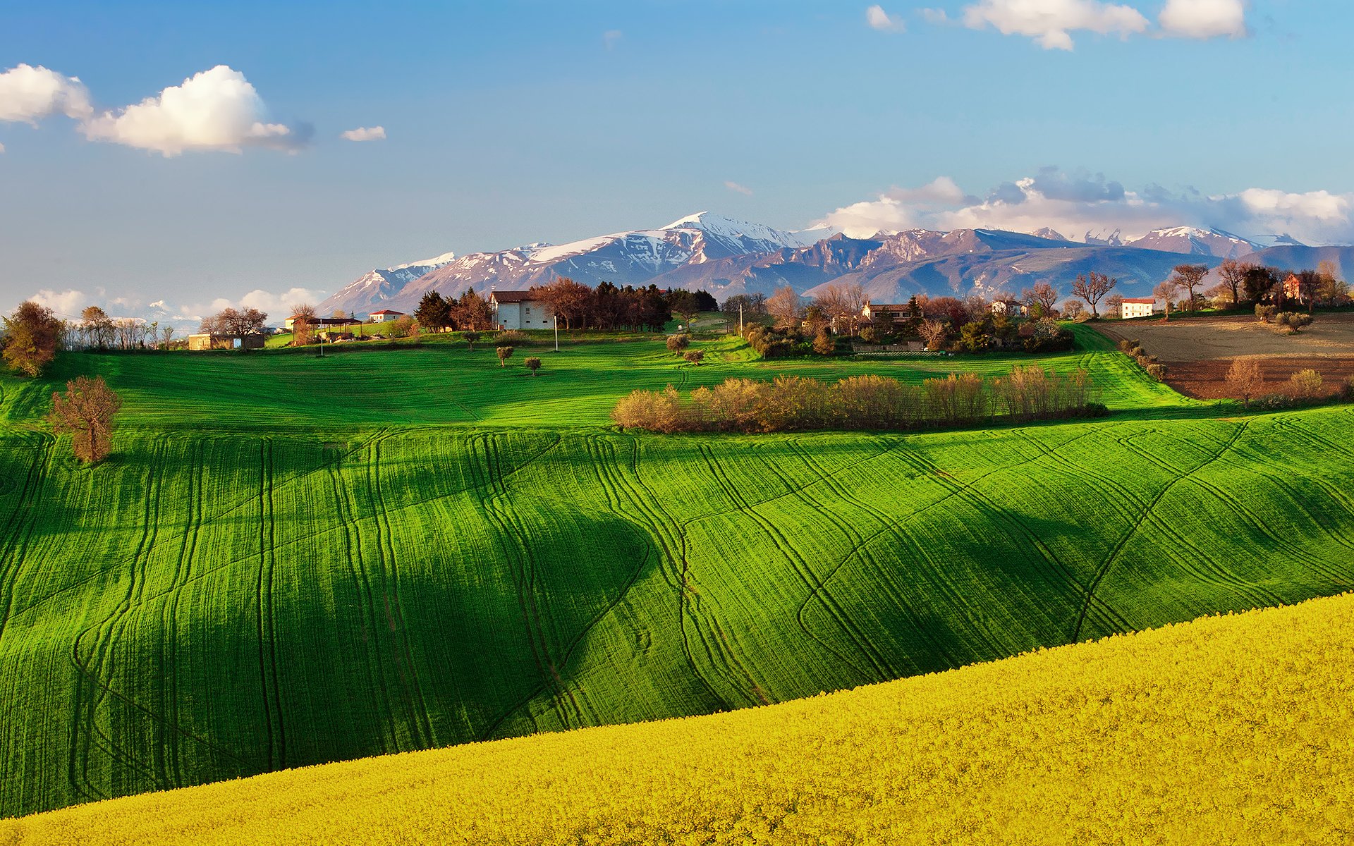 italia campi primavera aprile colza cielo