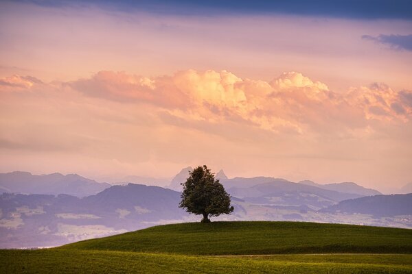 Paesaggio di montagna. Belle nuvole