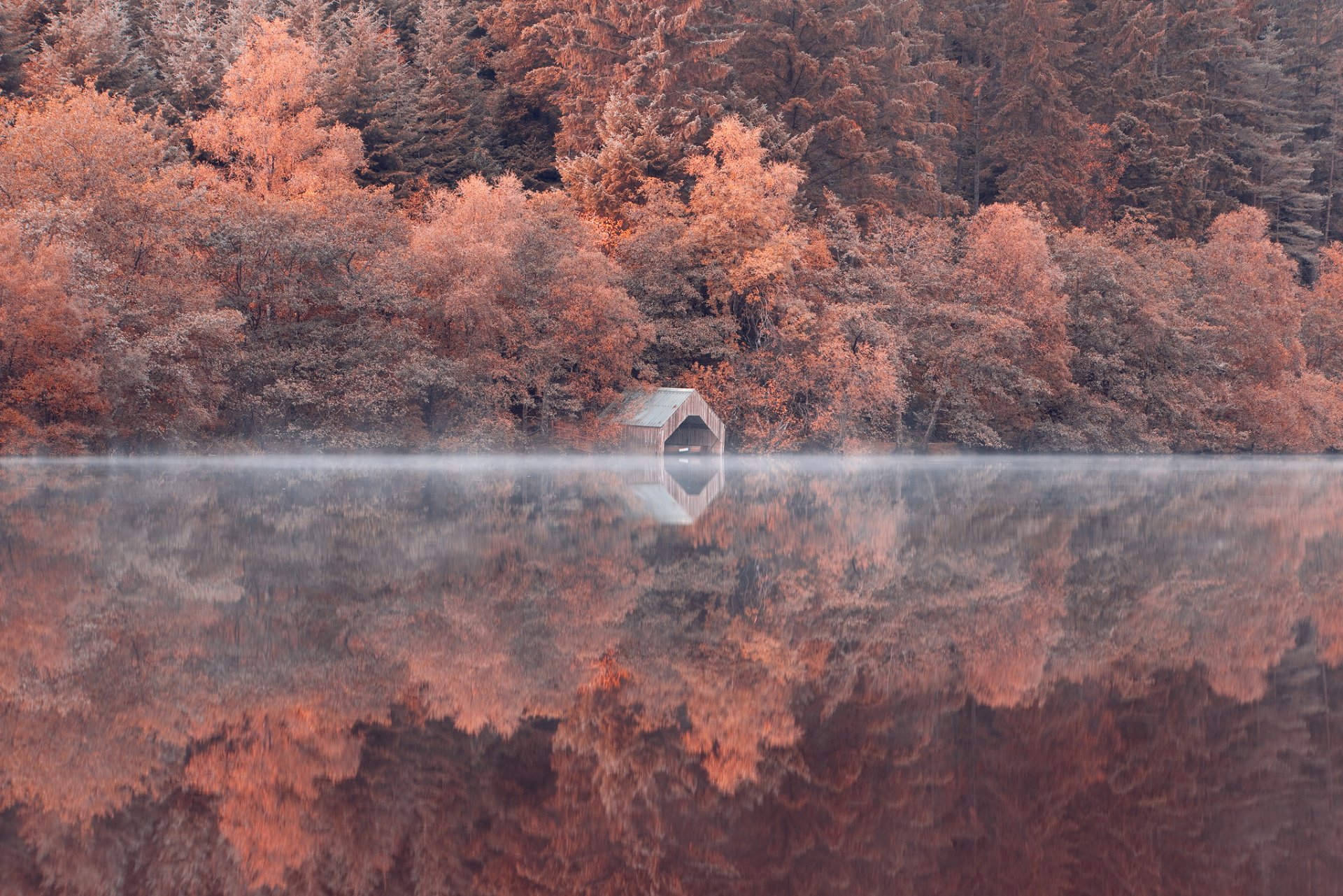 pendenza foresta alberi lago riflessione