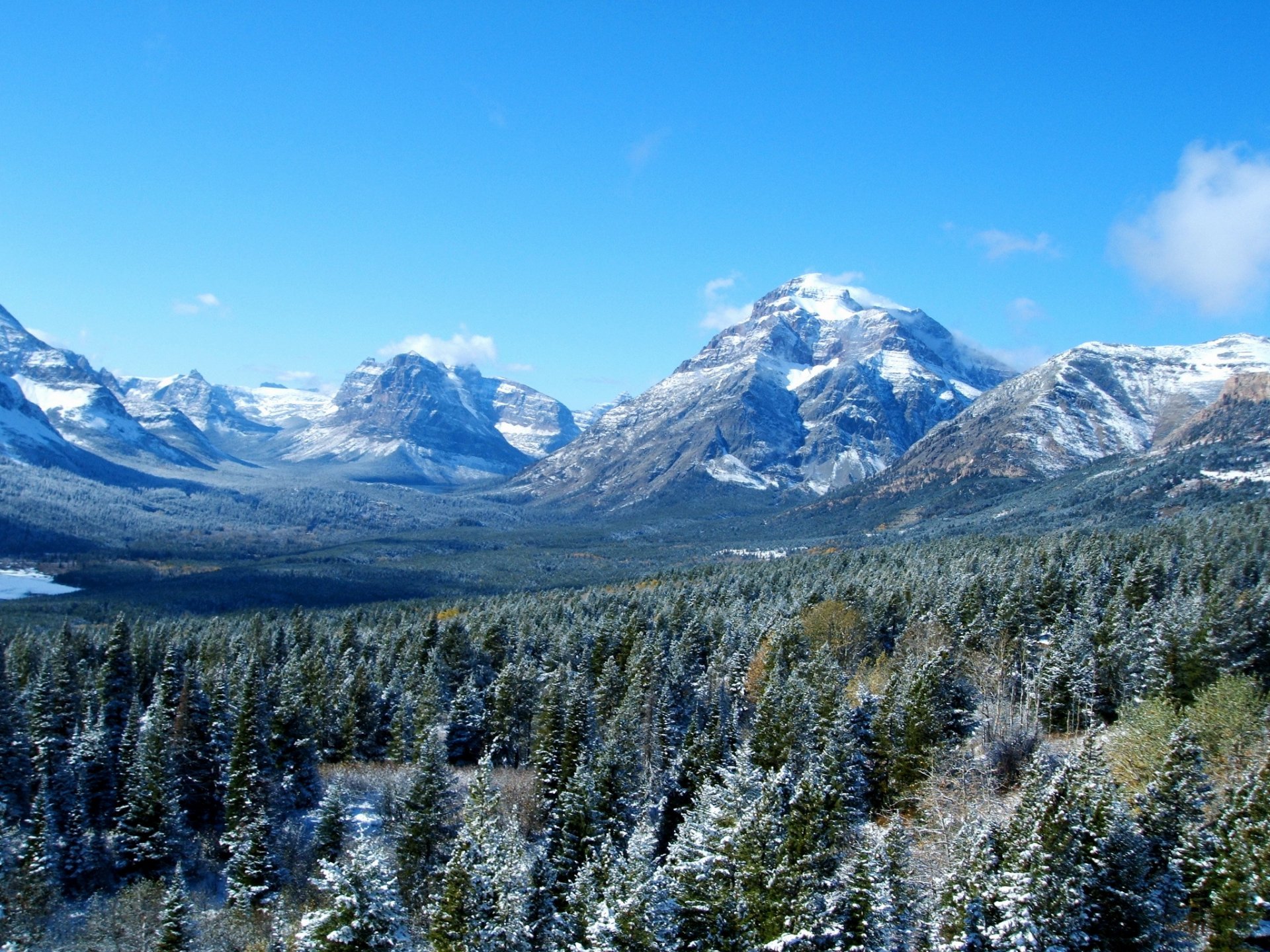 stati uniti montagna foresta cielo paesaggio ghiacciaio montana natura
