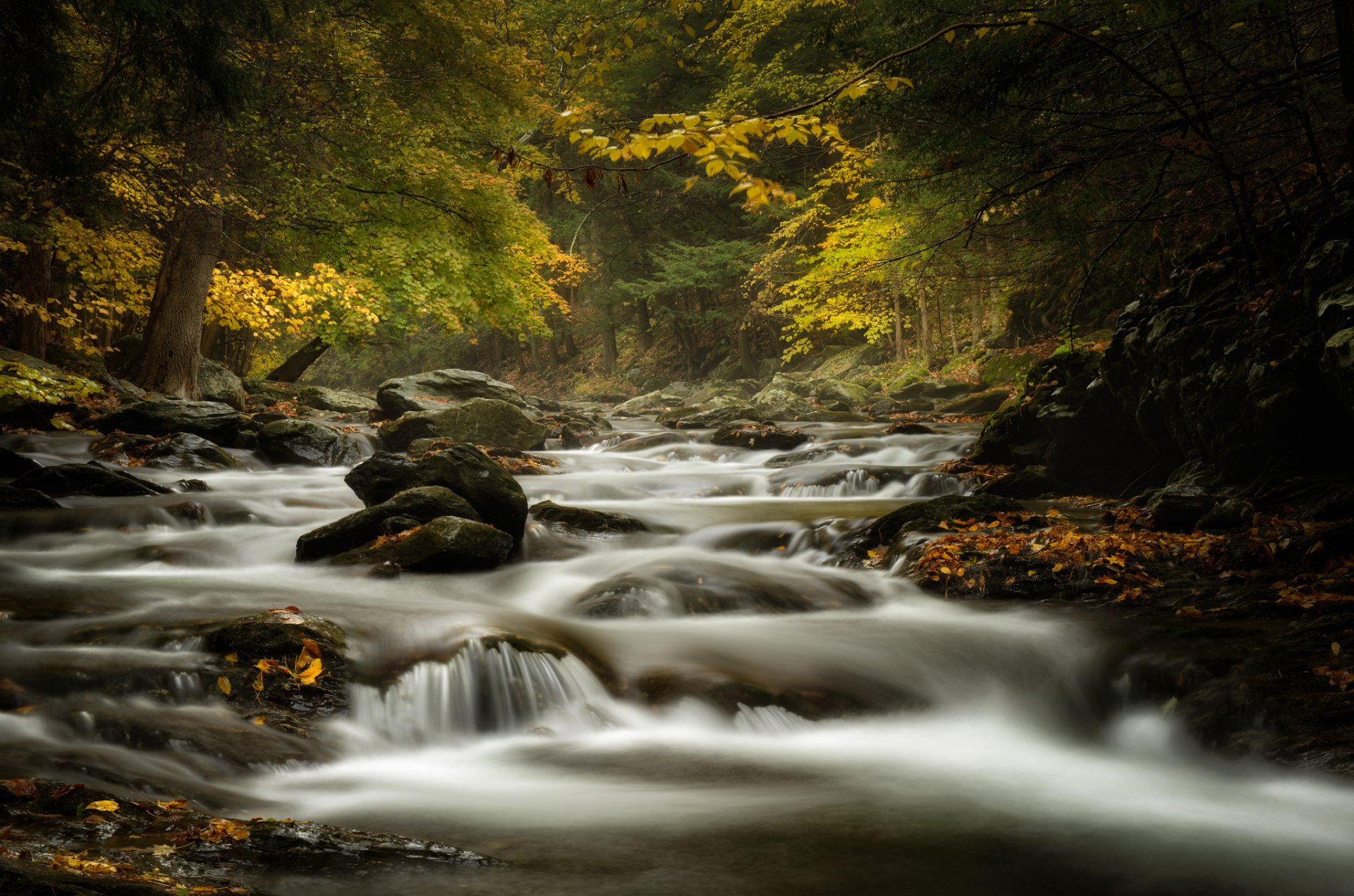 bash bish brook massachusetts ruscello fiume pietre foresta autunno