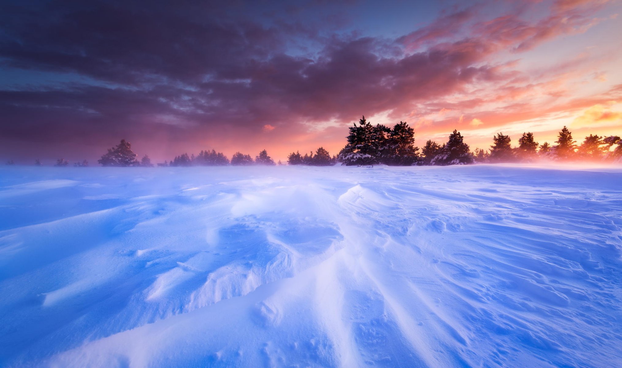 francia provenza altopiano pianura neve inverno bufera di neve alberi tramonto cielo paesaggio