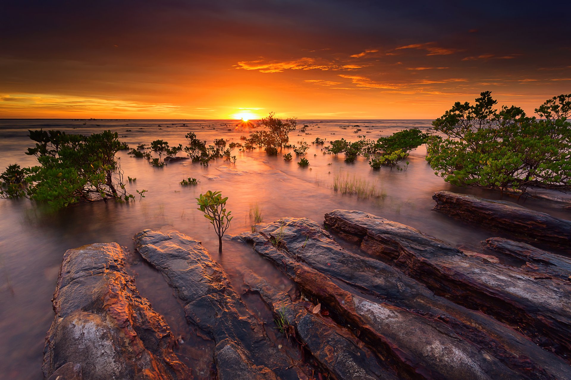 australia sera tramonto mangrovie mare oceano acqua rocce cielo sole