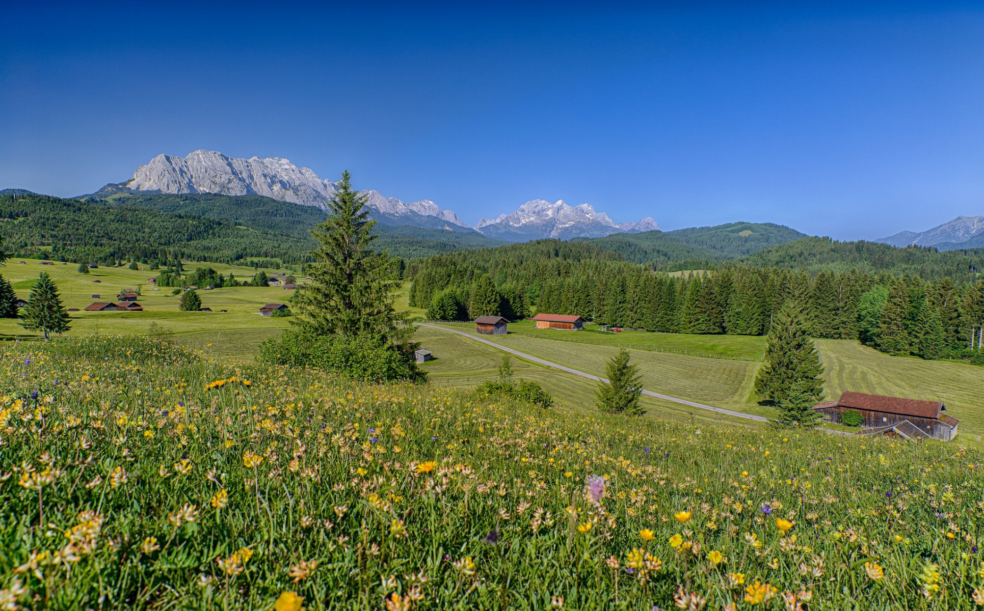 baviera germania alpi prati fiori montagne foresta case paesaggio