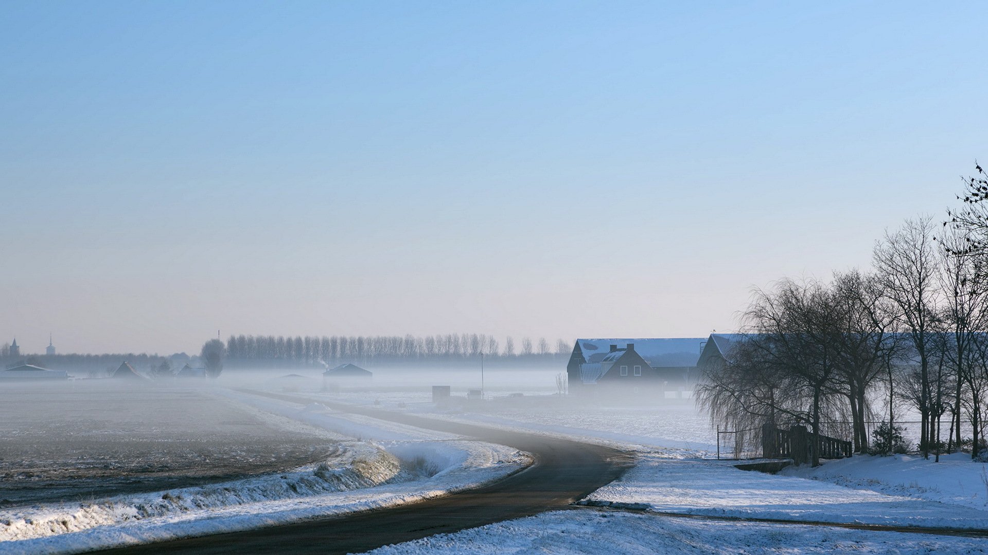 campo strada nebbia inverno