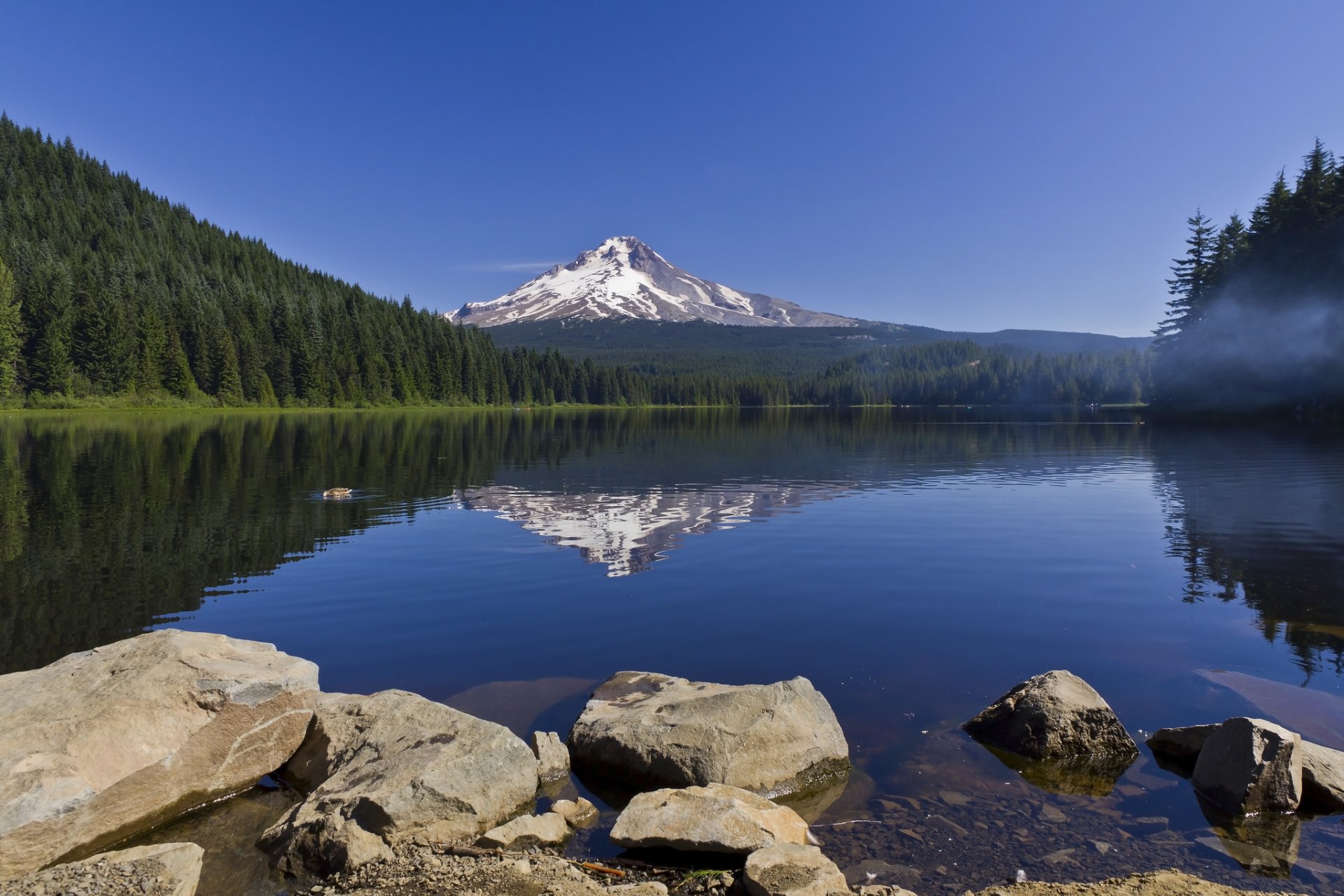 trillium lago oregon monte hood lago trillium monte hood riflessione pietre foresta