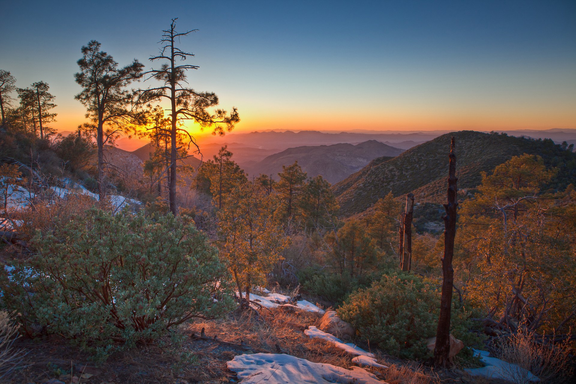 albe e tramonti natura montagne alberi neve cespugli foto
