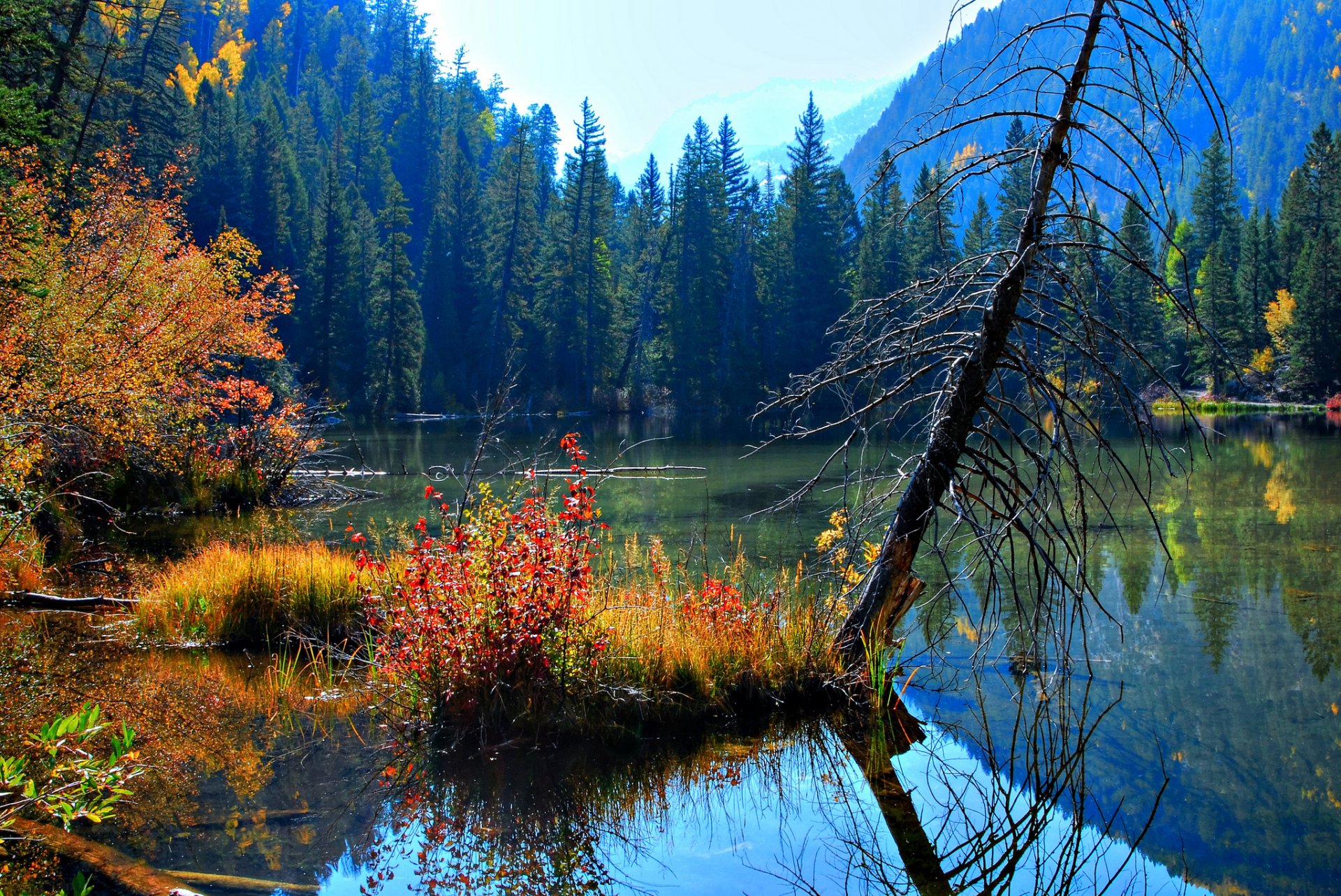 paesaggio bellezza natura lago acqua. riflessione alberi. fogli. autunno cielo