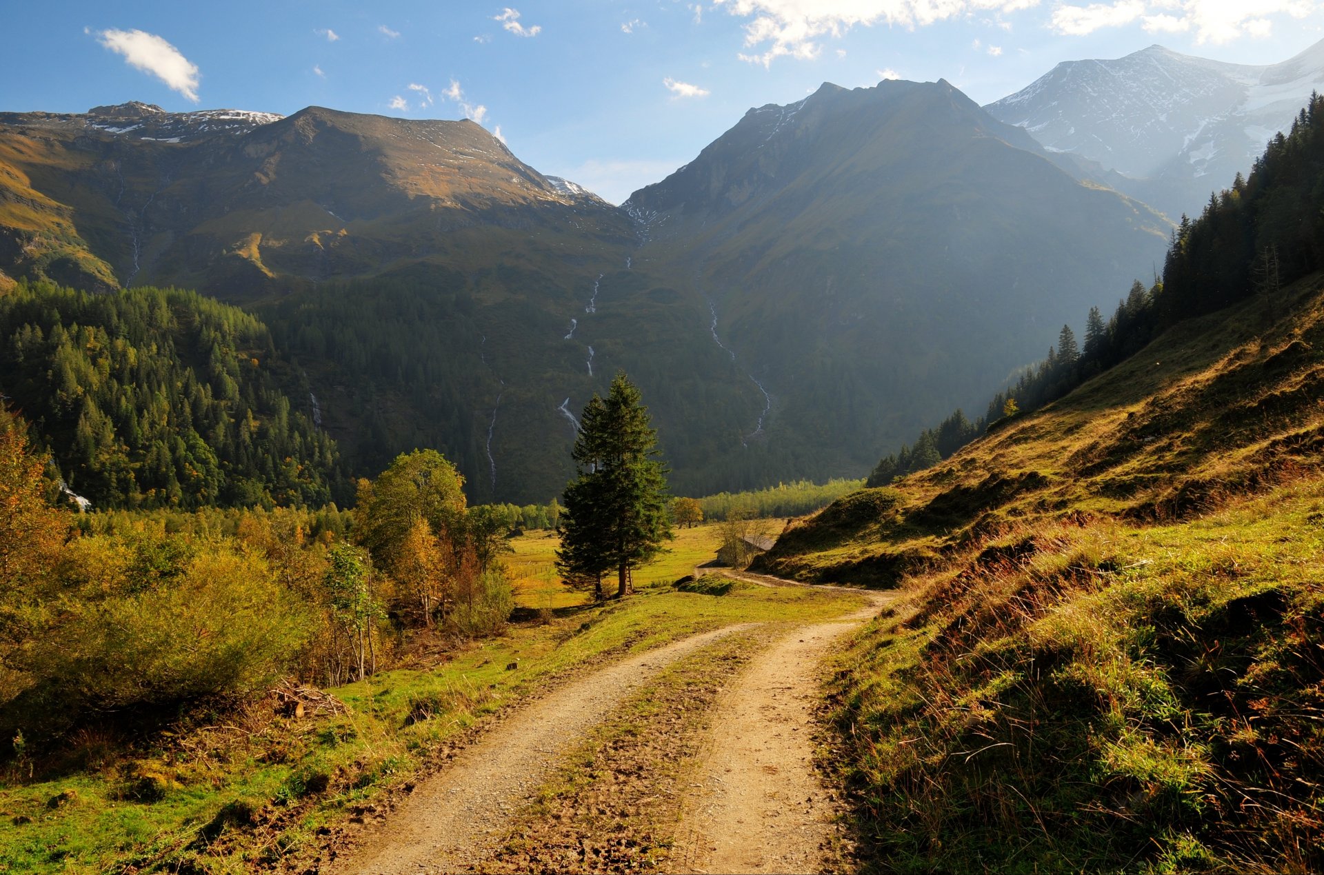 montagne cascate foresta alberi erba strada